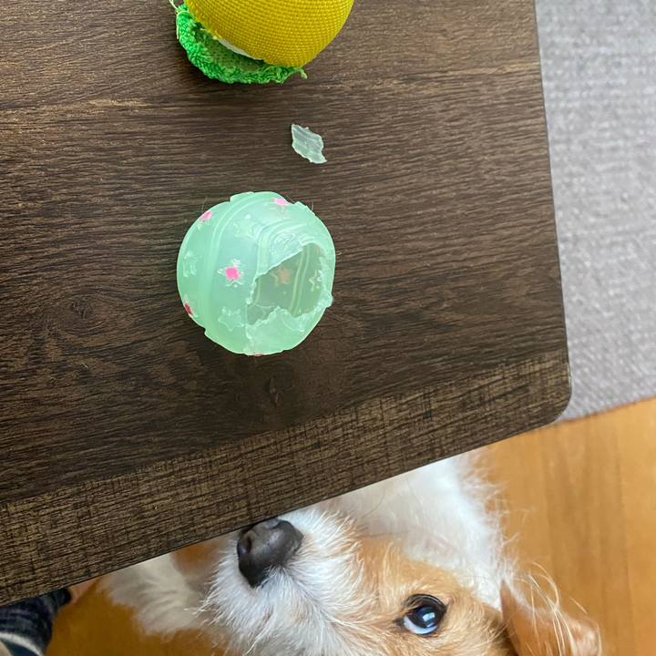 E9c60586 03eb 4669 b10a c23401a30cb5 1614388423989