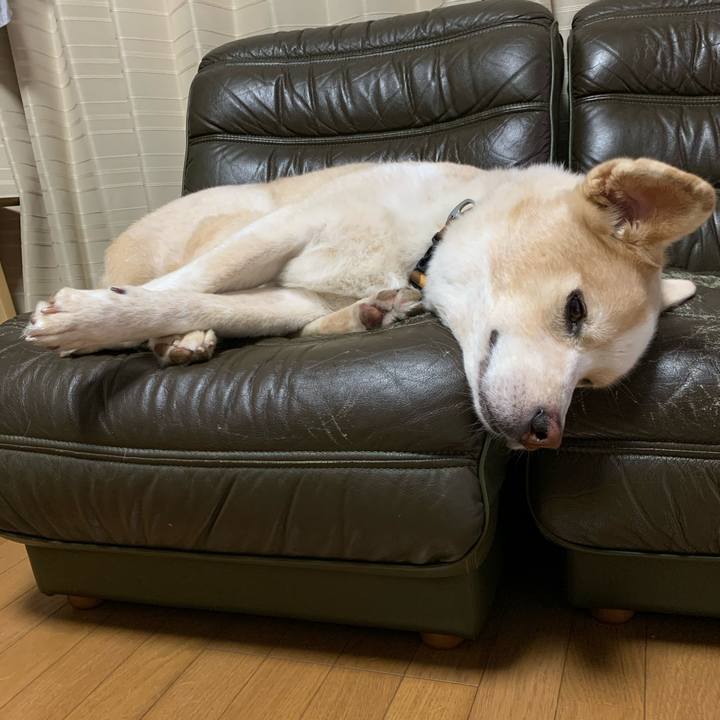 E9c61225 dac0 42ec b014 f0644bdd912d 1599748471216