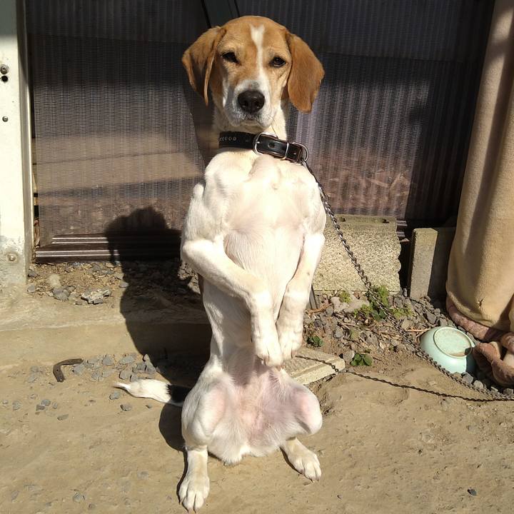 E9c65ffb 1d4d 46c8 81ea cf6742417b44 1649135531724