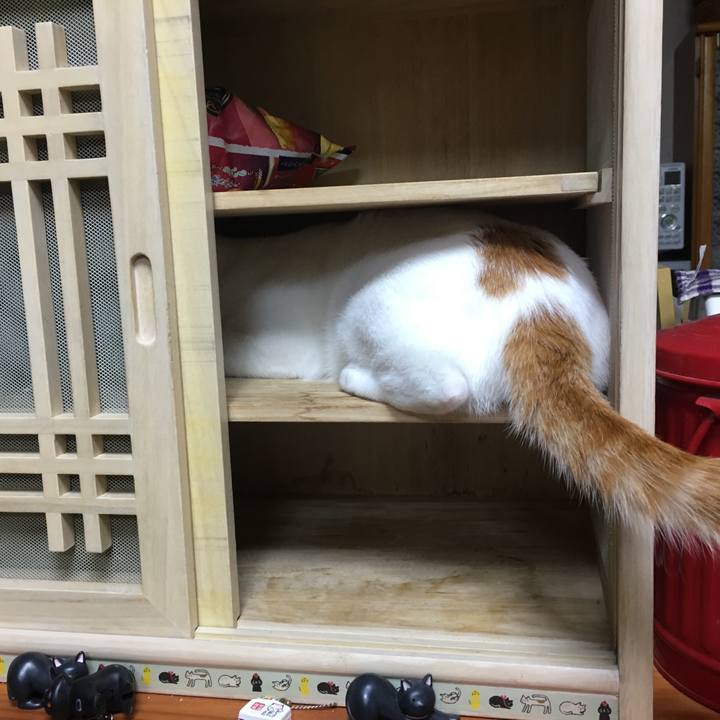 E9c6b424 bf92 416e 83b2 fa87f7956413 1509189979771