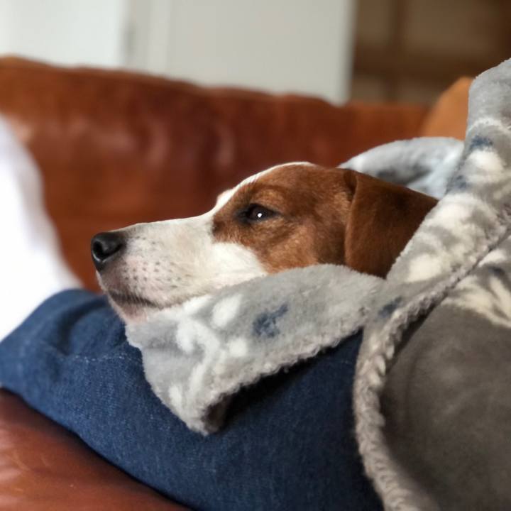 E9c6cd3a e21b 48d6 8601 87d442b44348 1635673490032