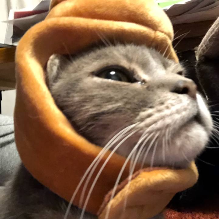 E9c6f0db 4166 4a22 b74e 1afc6210cba8 1514641788564