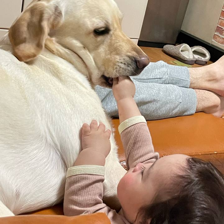 E9c71385 af02 4531 a038 83d8dc8fec4e 1743596265220