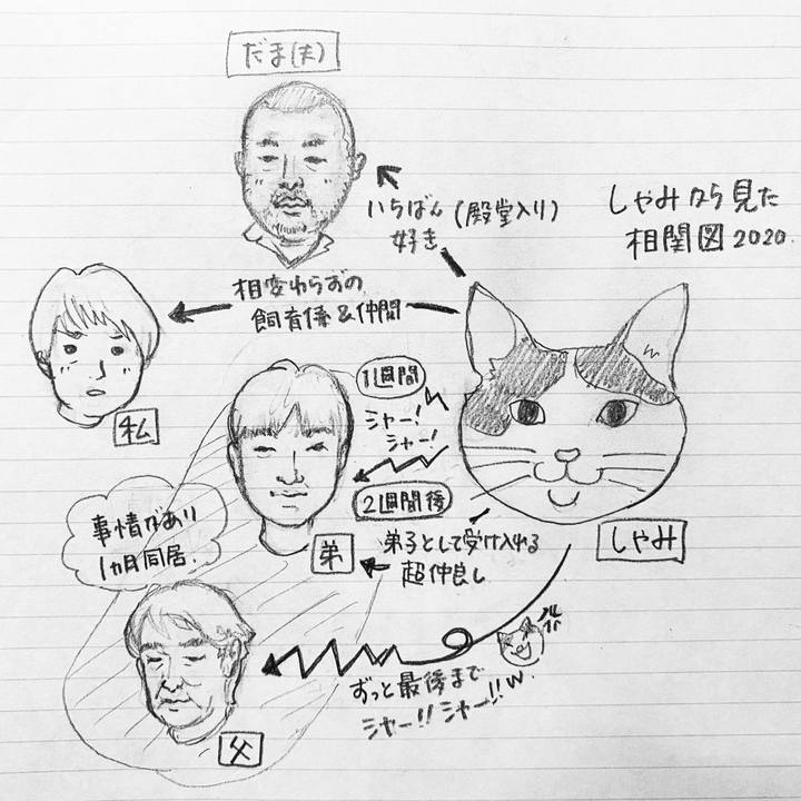 E9c71ff4 4ddb 4621 ab1e aaae3c5df7b0 1593363961504