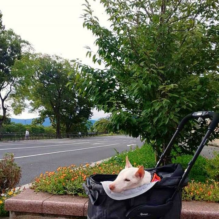 E9c728c4 13cb 4793 b702 cc0d39050199 1599347032097