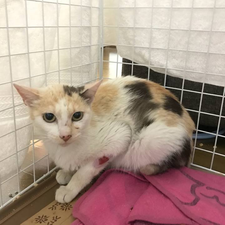 E9c72f38 8829 49ac 842c 0edafa8b9a4d 1528628717228