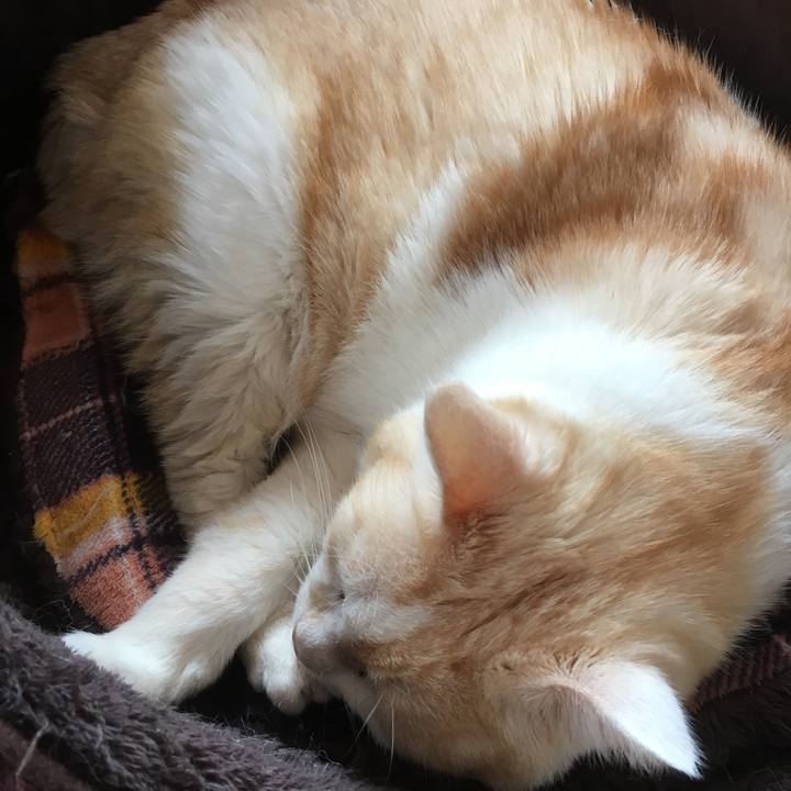 E9c744ac 4d02 4ebd 8846 9ce8ecbb7cb6 1515115472675