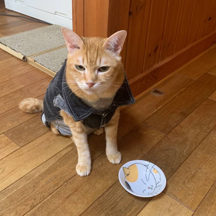 E9c7512d 1a38 42a3 8215 b168e6a74010 1653083656174