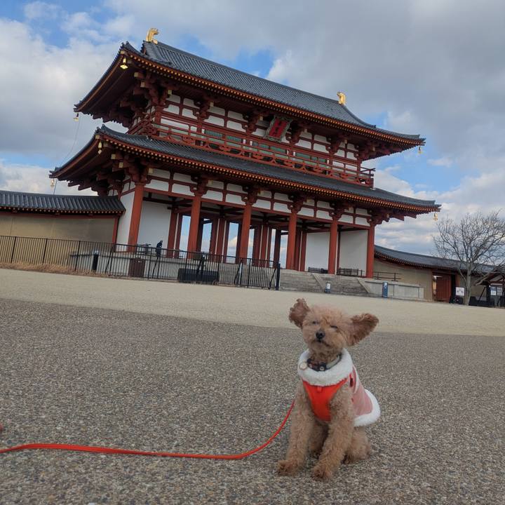 E9c83147 d5c9 4393 ae8f 924592afa186 1769149111935