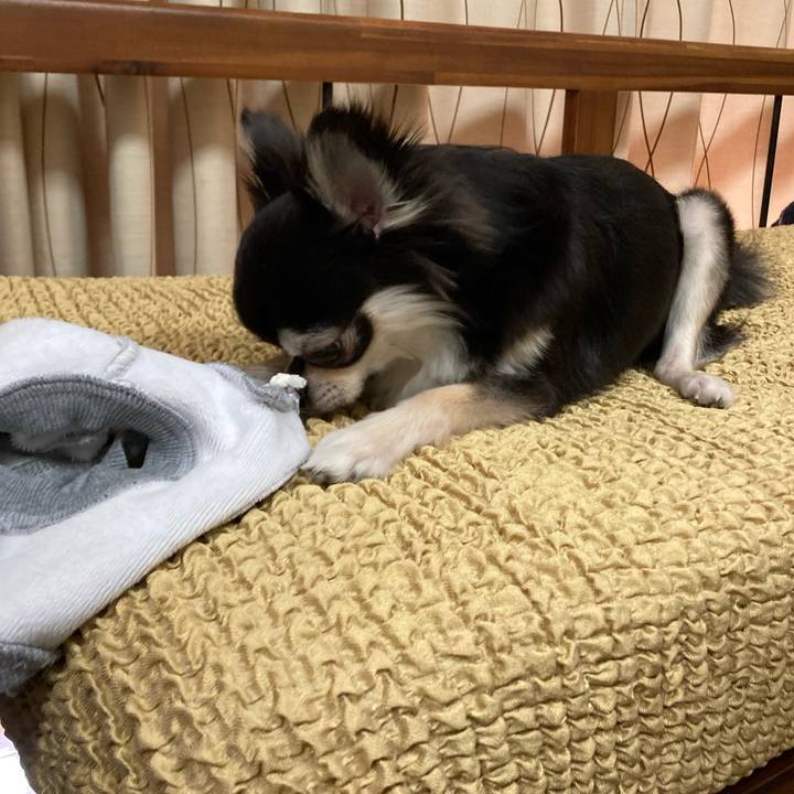 E9c8330e f720 4547 a88a d51c2c2489b2 1650121073111