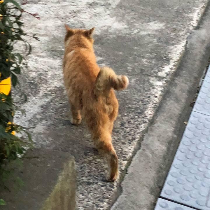 E9c83b1e a205 46a7 af4d d9aba3e51e09 1522009637976