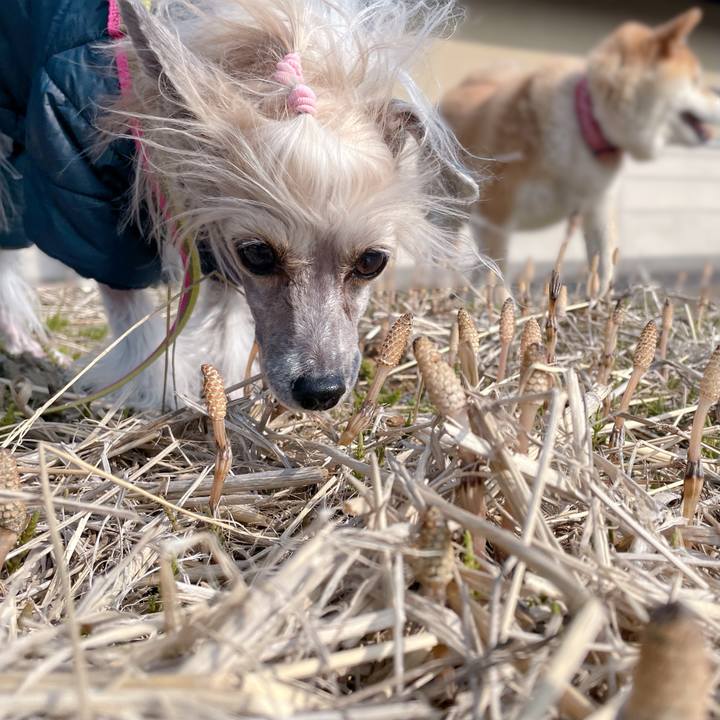 E9c86920 5df3 4656 9917 3159e6ad4af0 1773303018531