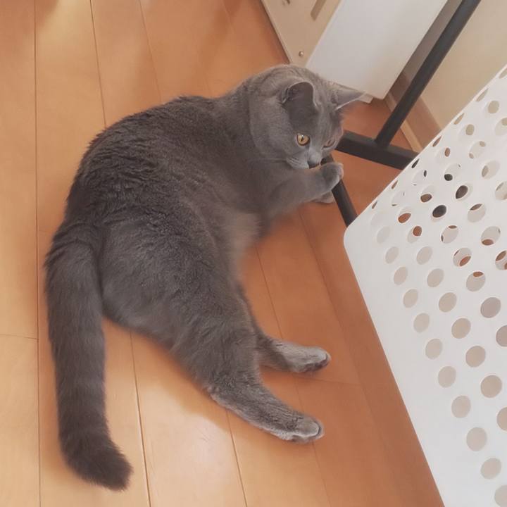 E9c88318 cbcf 4120 a527 adedaa46abac 1558589043330