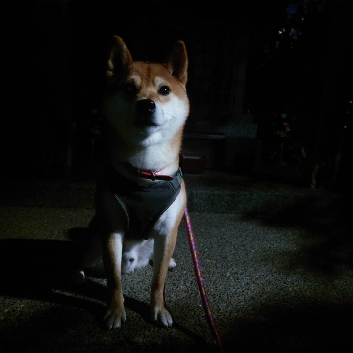 E9c88f7b 7b1a 4b38 a476 4aca6a8eecf7 1764631537956