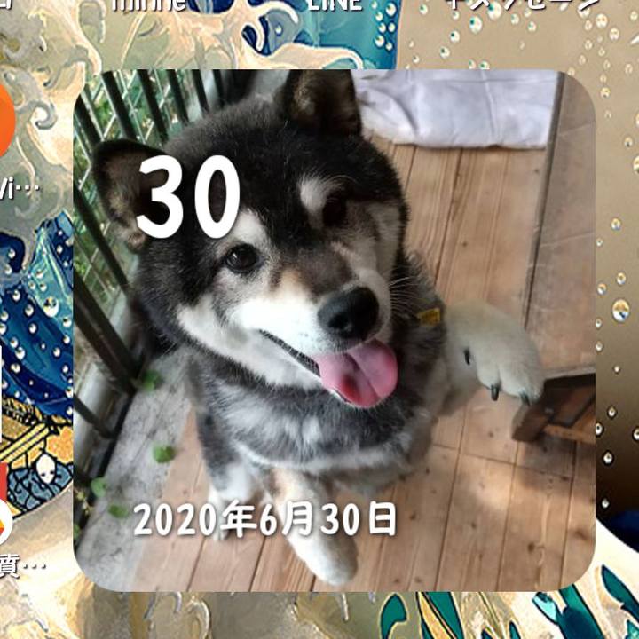 E9c89e08 1dee 4979 a4b0 7c483ab97966 1719715286440