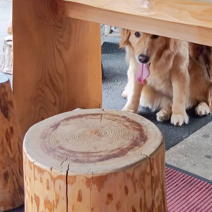 E9c8b6b2 a8e2 4580 bb4b 7fb9d46dd678 1719624484188