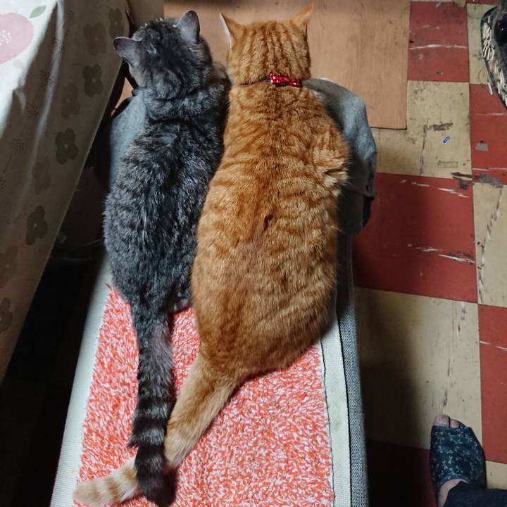 E9c8c8f0 80fd 48cd baa5 d09432c4d563 1577920308457