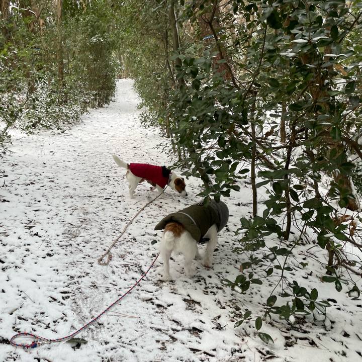 E9c8cca5 6775 4c69 90b6 2caed980b953 1640478742000