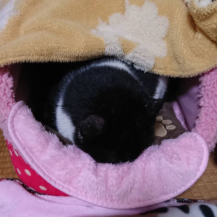 E9c8e667 c691 466b a2dd 345ab0de93be 1580900676164