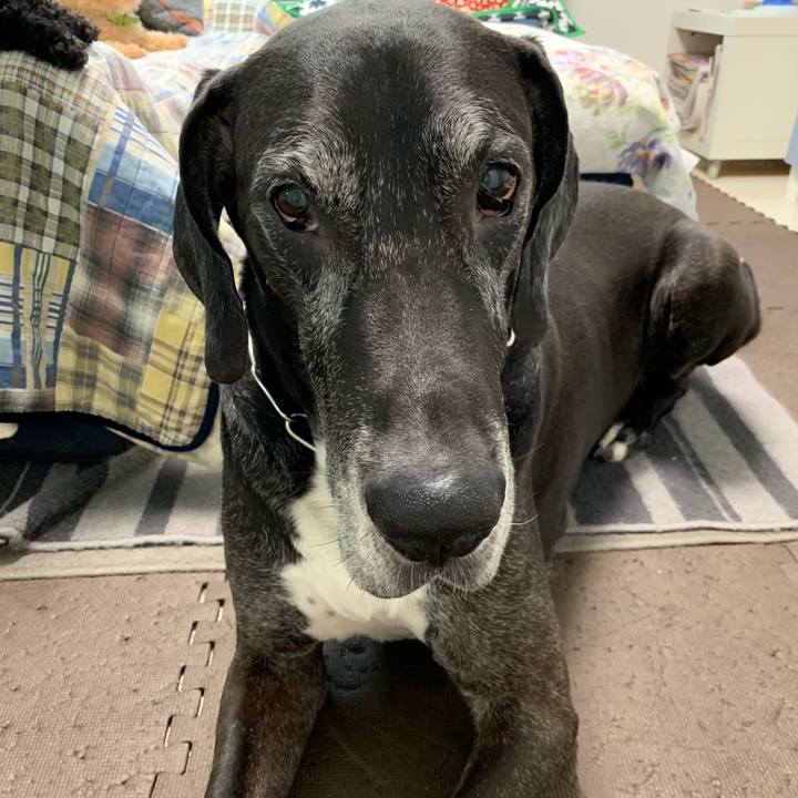 E9c91069 0ab6 4d8c 802b e86a44745765 1560292049737