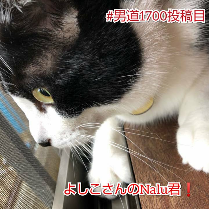 E9c92acd e582 4cad 9e8b b7006f172574 1563787095894