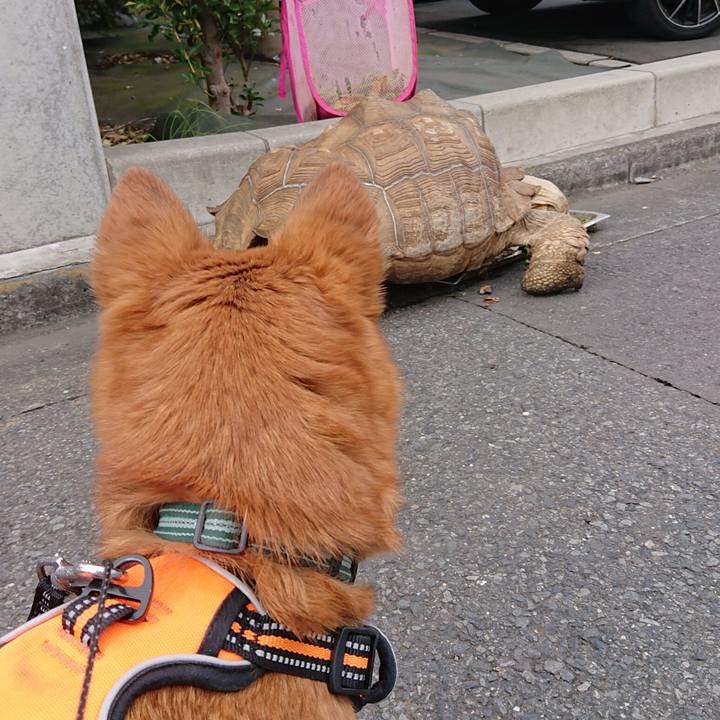 E9c9473b dd5e 415d 846d a722e2d8bdf8 1582343684219