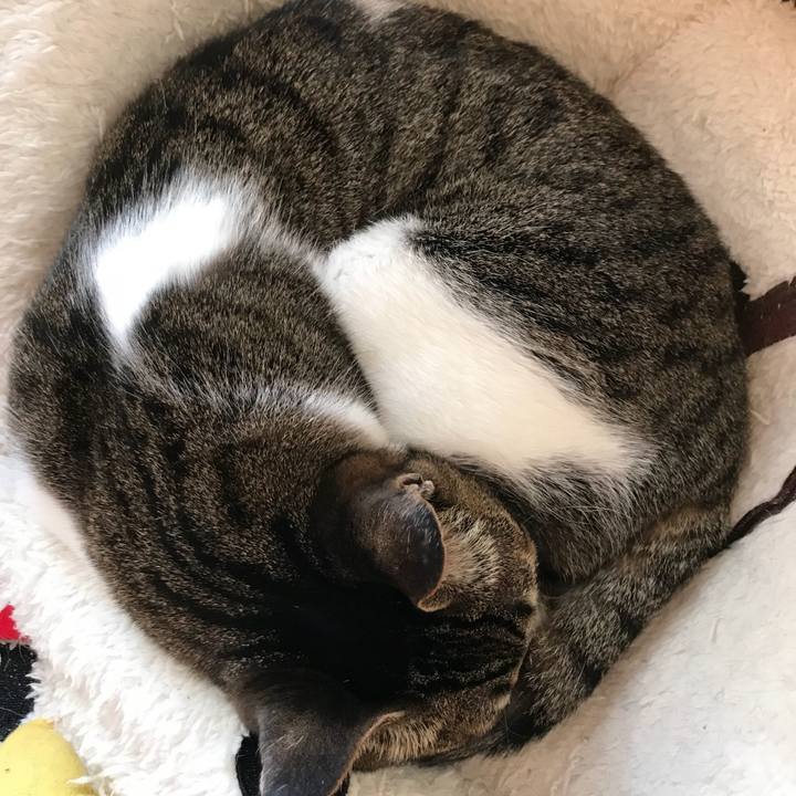 E9c96fae d0f3 4b23 a7d8 925a96a4310c 1523151865206