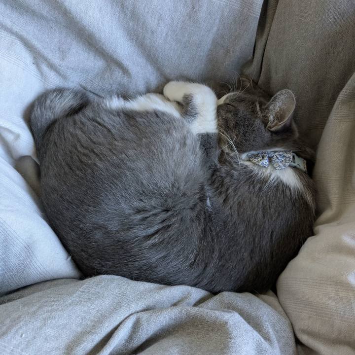 E9c996e1 1910 4f4c 8795 e7960fa6a350 1763091133690