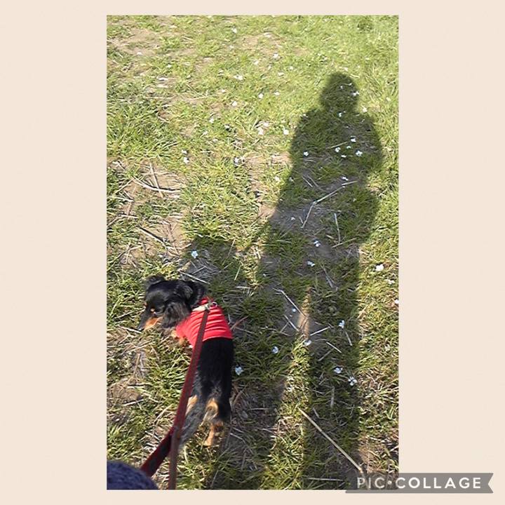 E9c9d33e ad64 49a7 89f6 60a6339ebd46 1655244880734