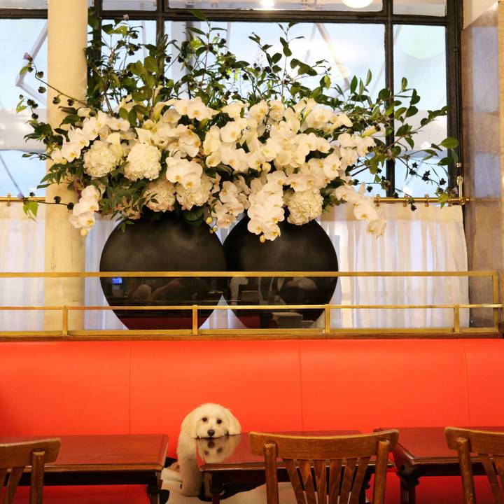 E9c9fa7f bedd 4404 83c1 1834ec91684b 1762500219549