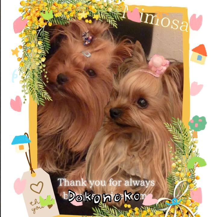 E9ca038c a037 456a beae 34e0010e953e 1741421641227