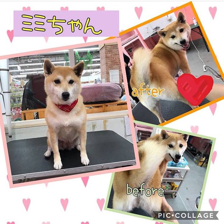 E9ca3093 73a8 4214 ae21 0db38ece800f 1517114394650