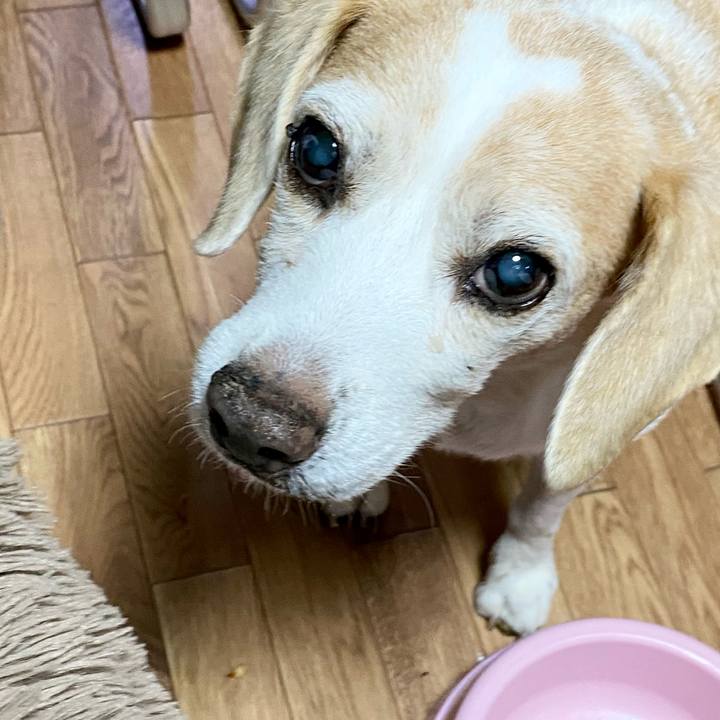 E9ca9aee 3015 46ca bd0e 8ba32118ee57 1622094393862