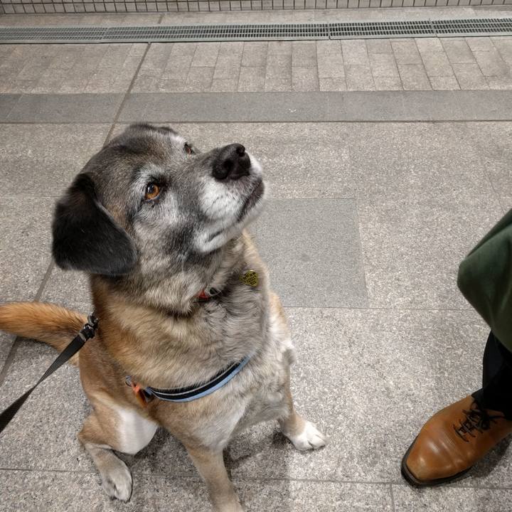 E9caa15f 83ba 4392 bd8b ac5c319350bb 1770944315834