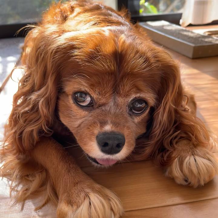 E9caca89 f020 40d6 bcde 4a5cc9a42f4f 1697329489343