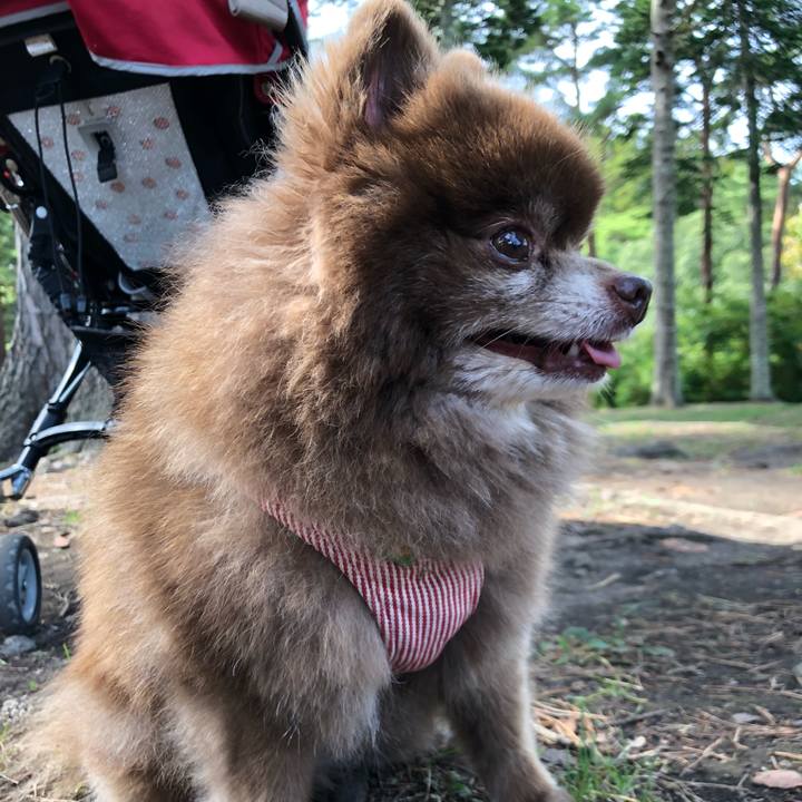 E9caccb3 b4d8 446c be44 9ae5d87629a6 1569669544933