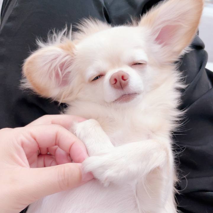 E9cafa8b 053f 4e98 a974 d57e072a5621 1691669714107