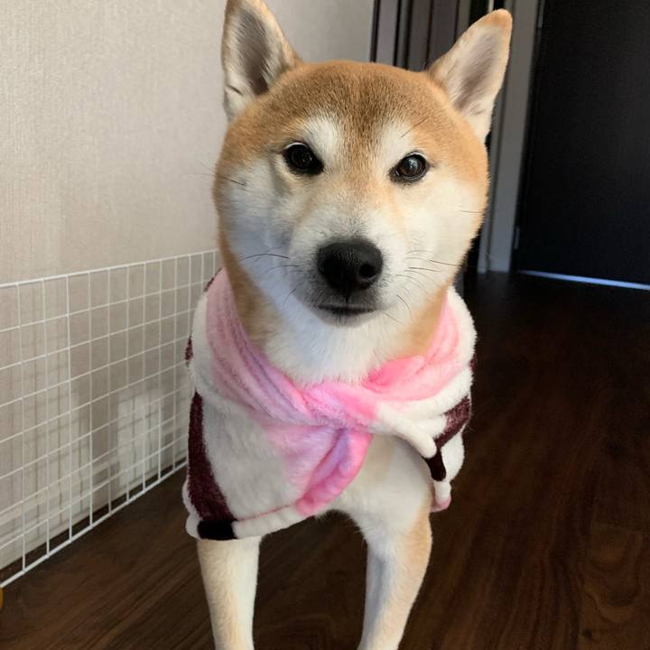 E9cafec4 0e2d 4507 8145 135345779d40 1618027519453