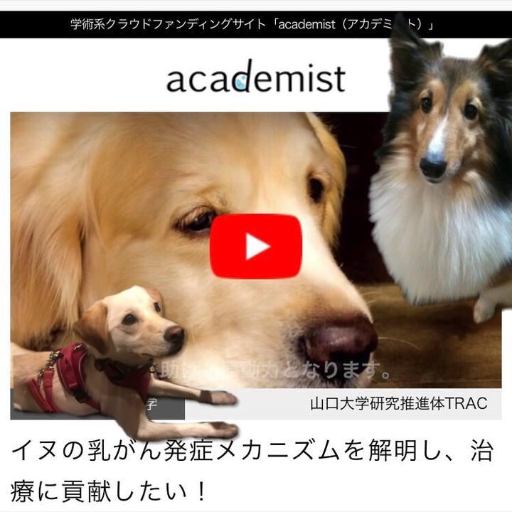 E9cb3fdd cb99 42ec bd7e 0a0090447a29 1526997196632