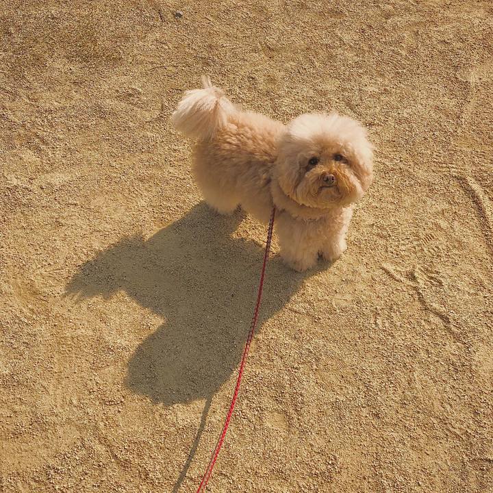 E9cb46e0 c85e 43aa 89ee 55ea05832606 1521077152178