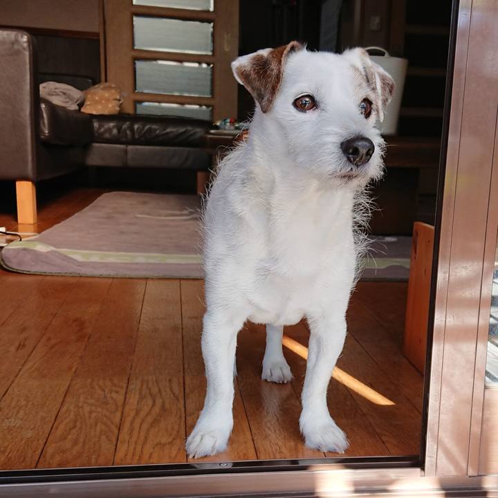 E9cb6dce c32d 4698 98dd 52f03d5889d8 1546825097562