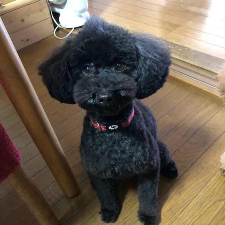 E9cb7755 5e01 4055 8d37 40417196a4e8 1605937158683