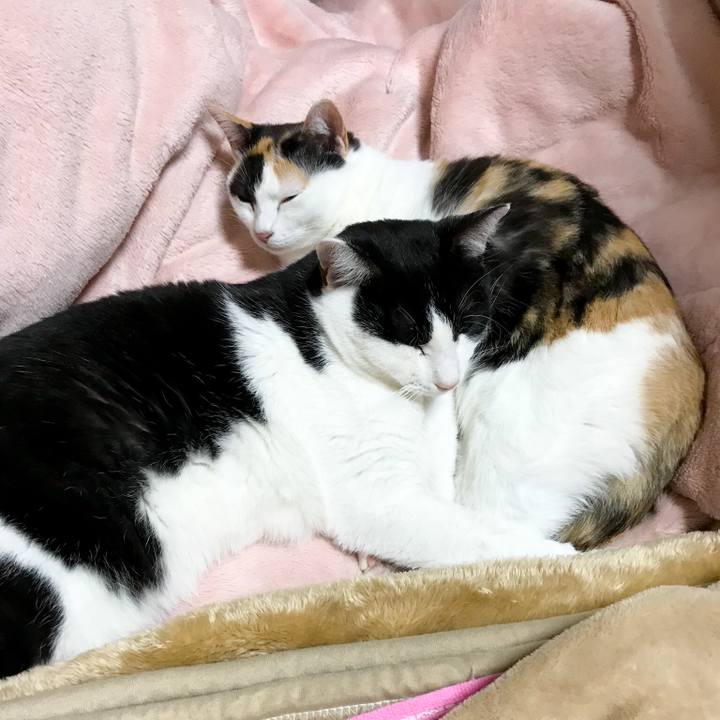 E9cb9cf5 5fb7 43be 97b2 69cba170c26e 1512657960184