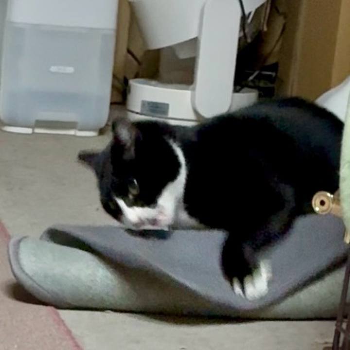 E9cba3fe a38f 4c02 9a09 1afbad955aac 1764757497042