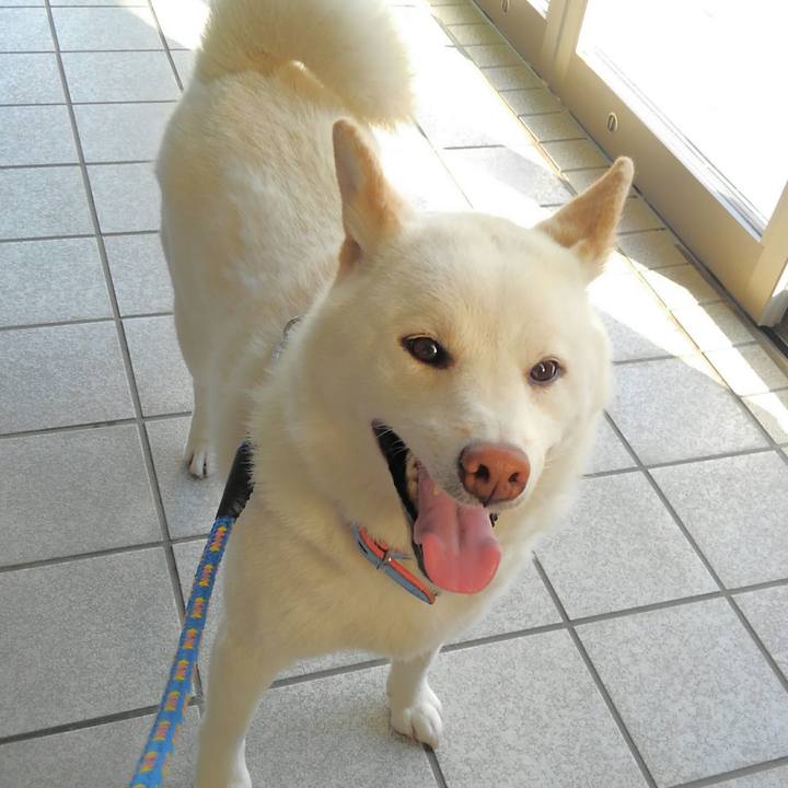 E9cbbbc7 a5bd 4b41 a5bc 34657d82105f 1555574460041