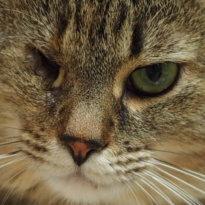 E9cbbc5d d94c 4ad7 9e0a b4e14594b275 1528542806113