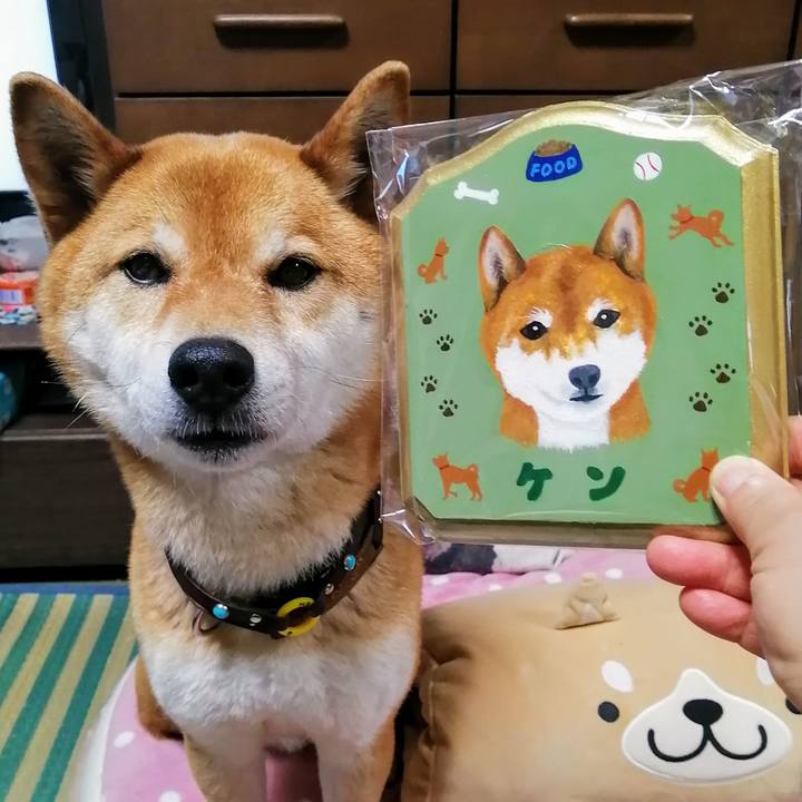 E9cbc7b4 36a4 4059 a42f 89afccf0bec3 1588329199334