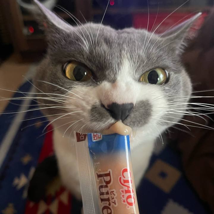 E9cbcbdb 53e3 4666 bcff 1a15a968de9b 1669878007188