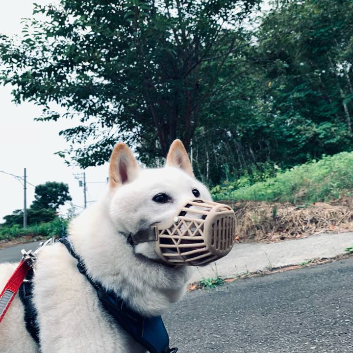 E9cbdd5e 29d2 4ed6 a1f1 997d81824d52 1630269288955