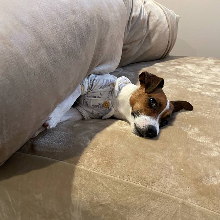 E9cbeaa1 11c9 4dce 9f25 5815faf212ac 1645491613364